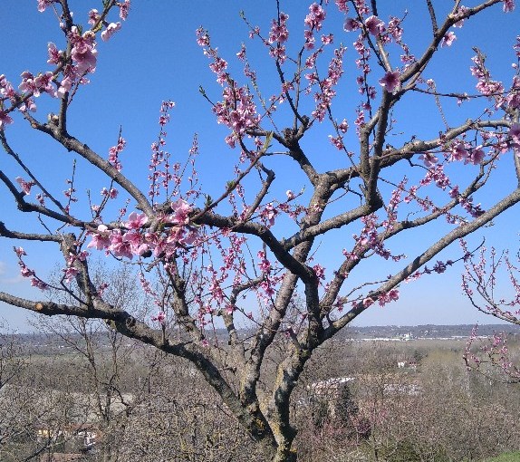 Tre anni di&nbsp;fatica