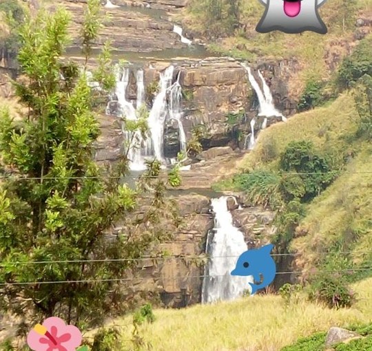 L’ amore che ho&nbsp;sentito